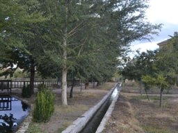 Castellum de Archivel 2014